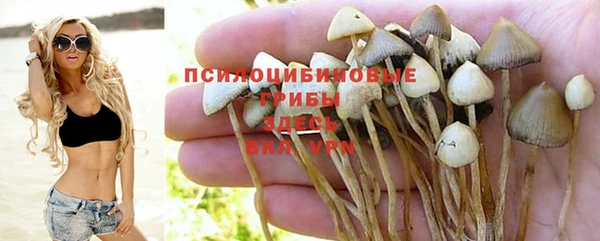 гашик Балахна