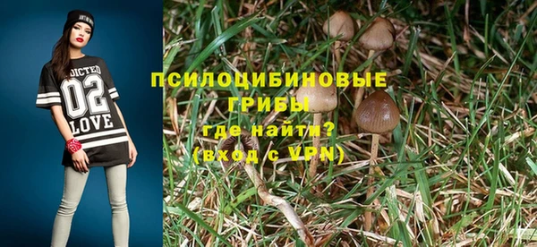 Альфа ПВП Баксан