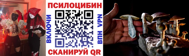 Псилоцибиновые грибы мицелий  цены   Урень 